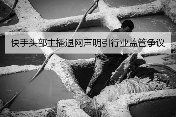 快手头部主播退网声明引行业监管争议